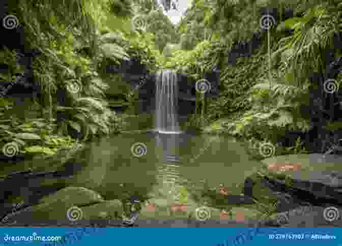 A Cascading Waterfall Plunging Into A Tranquil Pool, Surrounded By Lush Greenery Classic Carolina Road Trips From Columbia: Historic Destinations Natural Wonders (History Guide)