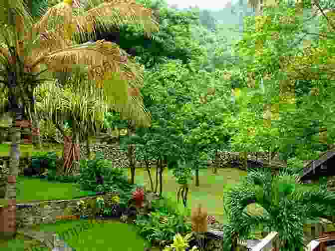 A Lush Rainforest In Saint Martin Sint Maarten ~ Saint Martin Marty Straub