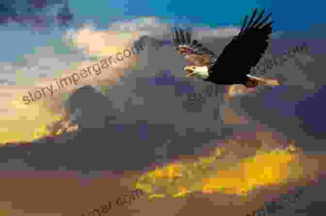 A Majestic Bald Eagle Soaring Through The Sky Mammal Tracks Sign: A Guide To North American Species