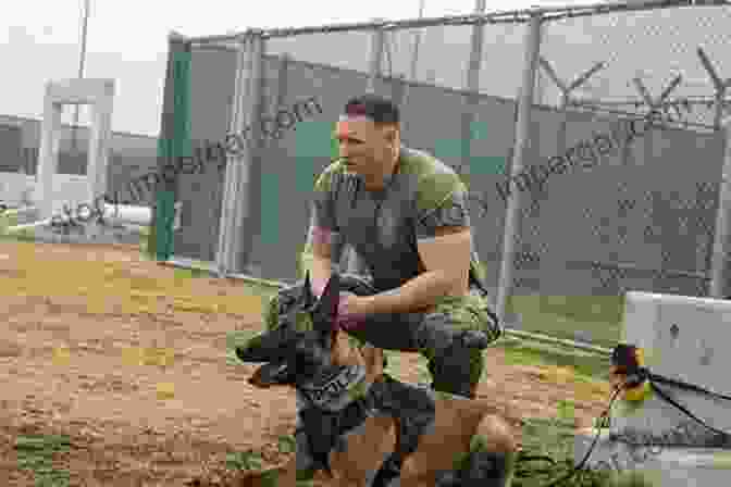 A Military Dog And Its Handler Conducting A Search Mission In A Hostile Environment Navy SEAL Dogs: My Tale Of Training Canines For Combat