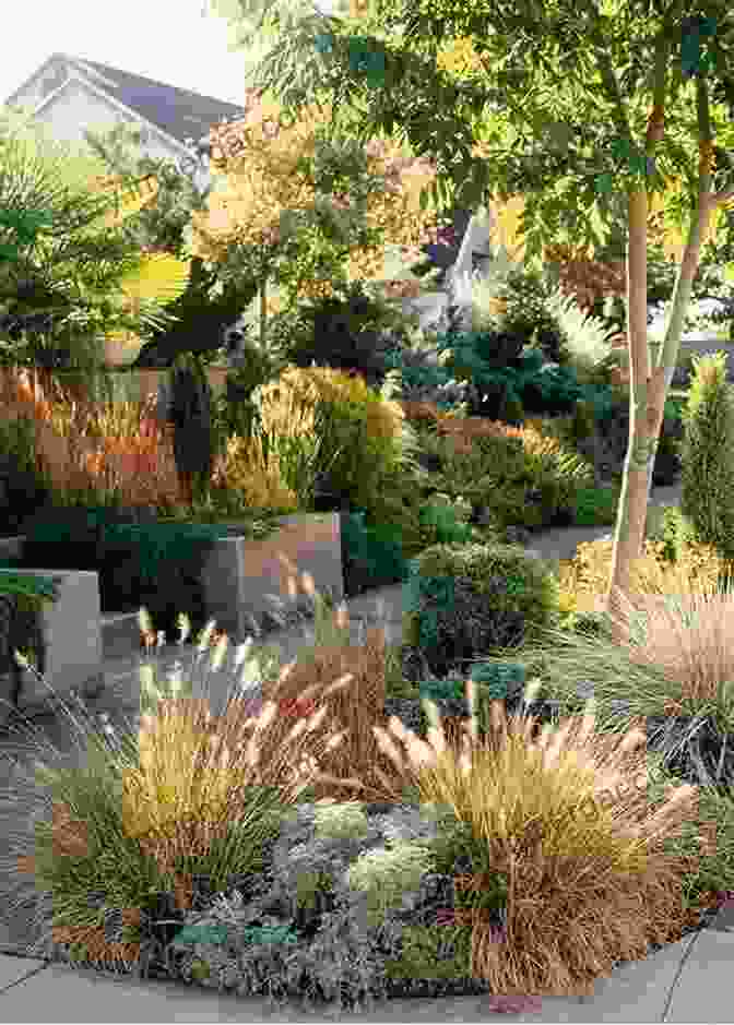 A Serene Water Efficient Landscape Featuring A Variety Of Drought Tolerant Plants The Colorful Dry Garden: Over 100 Flowers And Vibrant Plants For Drought Desert Dry Times