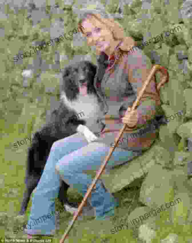 A Shepherdess With Her Sheepdogs If Clouds Were Sheep: A Warm And Humorous Portrait Of The Shepherding Life