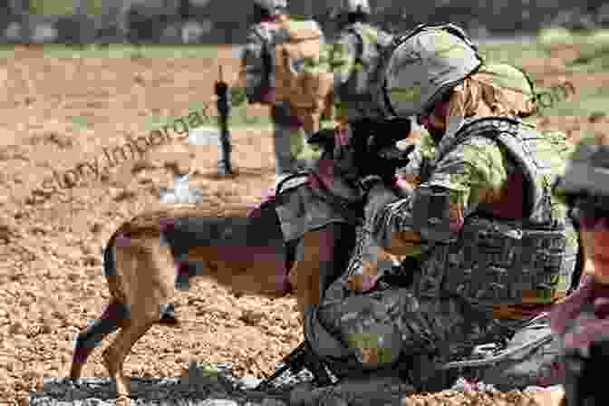 A Soldier And His Military Dog Performing A Mission In The Battlefield Navy SEAL Dogs: My Tale Of Training Canines For Combat