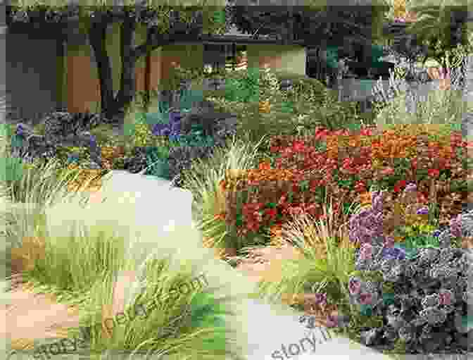 A Stunning Array Of Drought Tolerant Flowers Blooming In A Dry Garden The Colorful Dry Garden: Over 100 Flowers And Vibrant Plants For Drought Desert Dry Times