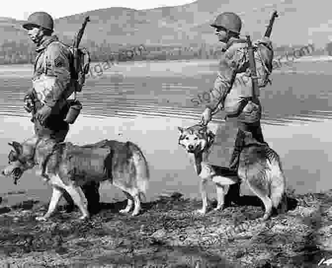 A Vintage Photograph Of A Soldier And His Military Dog During World War II Navy SEAL Dogs: My Tale Of Training Canines For Combat