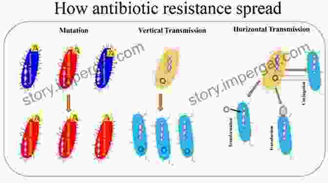 Antibiotic Resistance In Bacteria Microbiology For Surgical Technologists Margaret Rodriguez