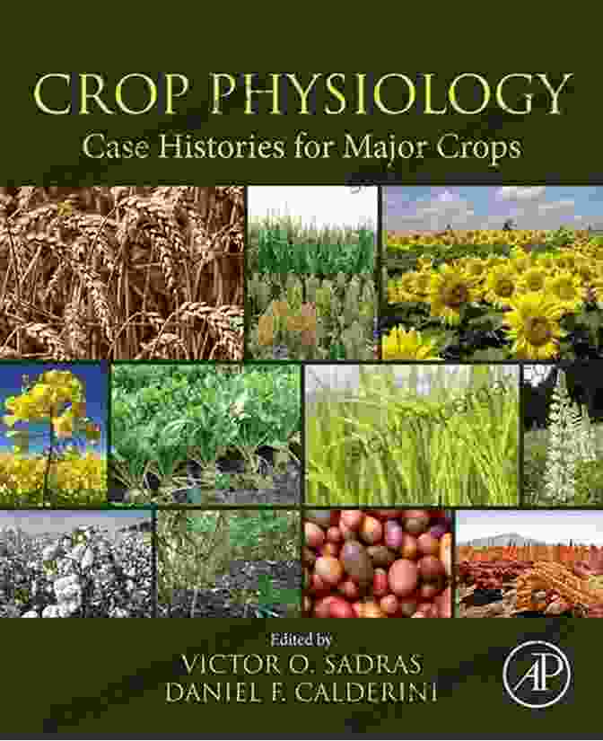 Book Cover: Crop Physiology Case Histories For Major Crops Crop Physiology Case Histories For Major Crops