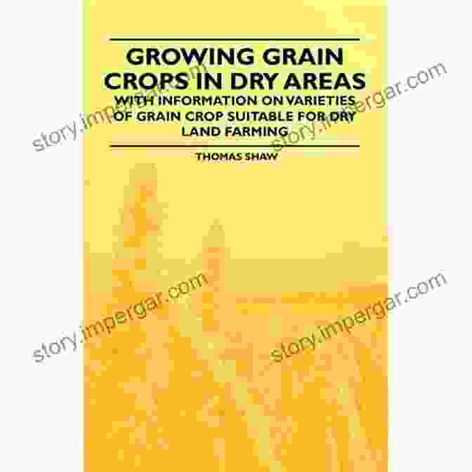 Compost Pile Growing Grain Crops In Dry Areas With Information On Varieties Of Grain Crop Suitable For Dry Land Farming