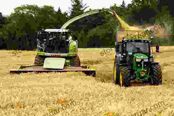 Farmer Harvesting Grain Crops Growing Grain Crops In Dry Areas With Information On Varieties Of Grain Crop Suitable For Dry Land Farming