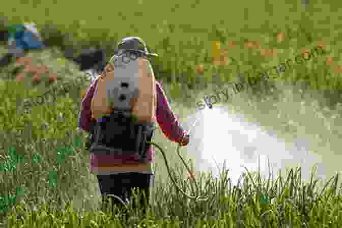 Farmer Spraying Crops To Control Pests Growing Grain Crops In Dry Areas With Information On Varieties Of Grain Crop Suitable For Dry Land Farming