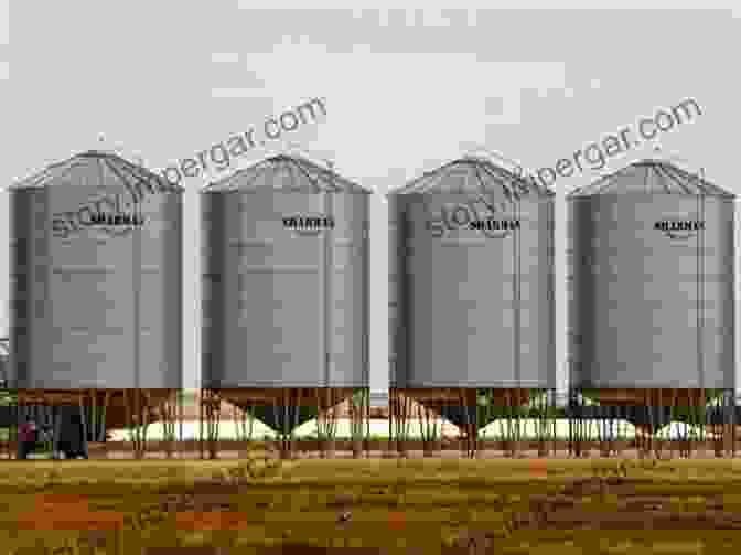 Grain Silos For Storing Harvested Crops Growing Grain Crops In Dry Areas With Information On Varieties Of Grain Crop Suitable For Dry Land Farming