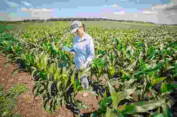 Image Depicting Farmers Implementing Regenerative Agriculture Practices In Their Fields Regenerative Agriculture: Farming With Benefits Profitable Farms Healthy Food Greener Planet