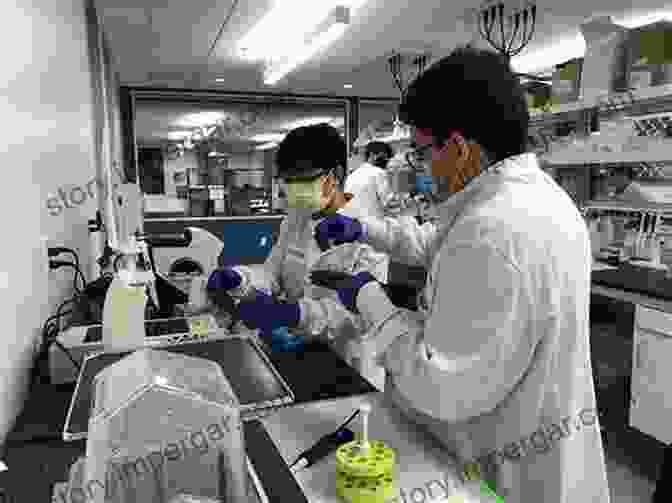 Image Of Scientists Using Molecular Techniques In A Laboratory Setting Molecular Breeding Of Forage Crops: Proceedings Of The 2nd International Symposium Molecular Breeding Of Forage Crops Lorne And Hamilton Victoria Australia (Developments In Plant Breeding 10)