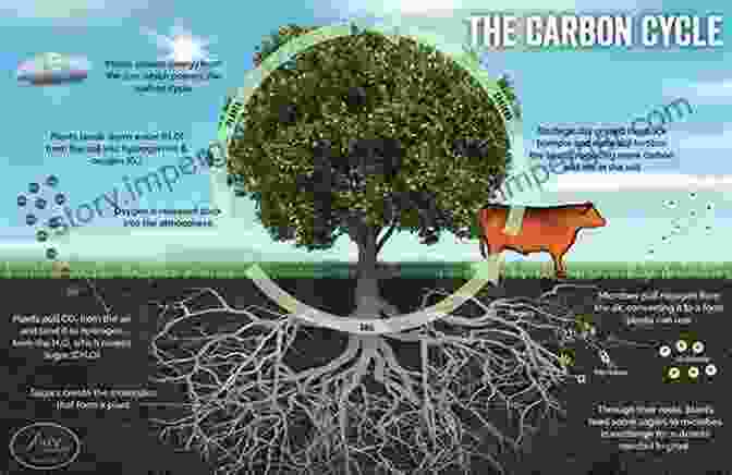 Image Showcasing The Environmental Benefits Of Regenerative Agriculture, Including Carbon Sequestration And Water Conservation Regenerative Agriculture: Farming With Benefits Profitable Farms Healthy Food Greener Planet