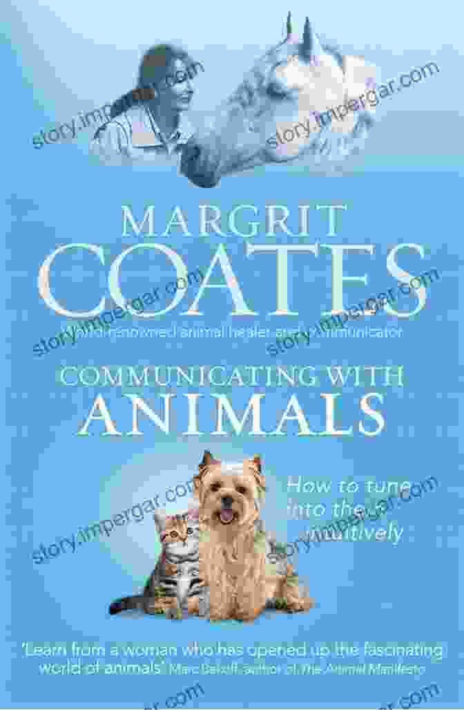 Intuition_brings_transformation Communicating With Animals: How To Tune Into Them Intuitively