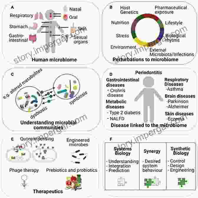 Metagenomic Systems Biology: Integrative Analysis of the Microbiome