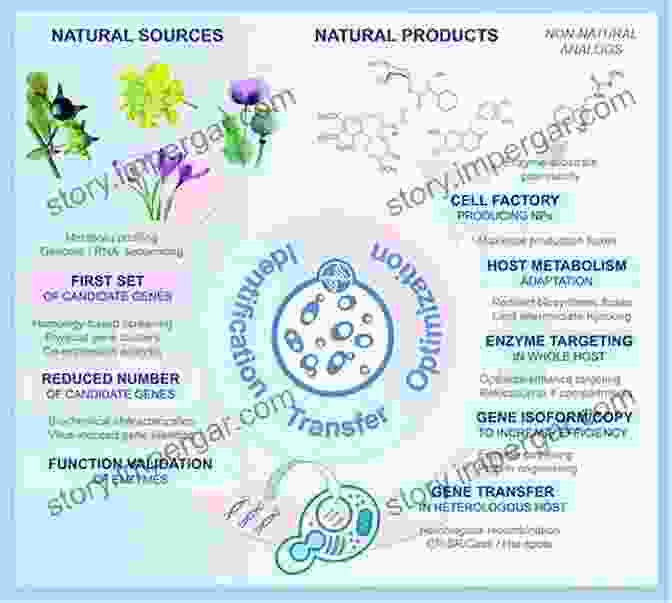 Schematic Diagram Of Synthetic Biology Approaches For Engineering Natural Product Biosynthetic Pathways Medicinal Natural Products: A Biosynthetic Approach