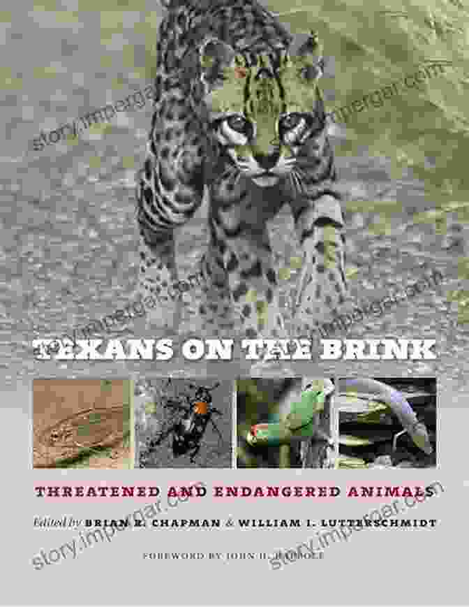 Texans On The Brink Book Cover Texans On The Brink: Threatened And Endangered Animals (Integrative Natural History Sponsored By Texas Research Institute For Environmental Studies Sam Houston State University)