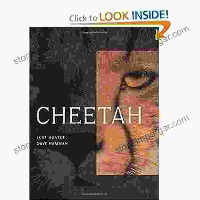 The Cover Of The Book Cheetah Luke Hunter, Depicting A Man Looking Out Over A Savanna With A Cheetah Beside Him. Cheetah Luke Hunter