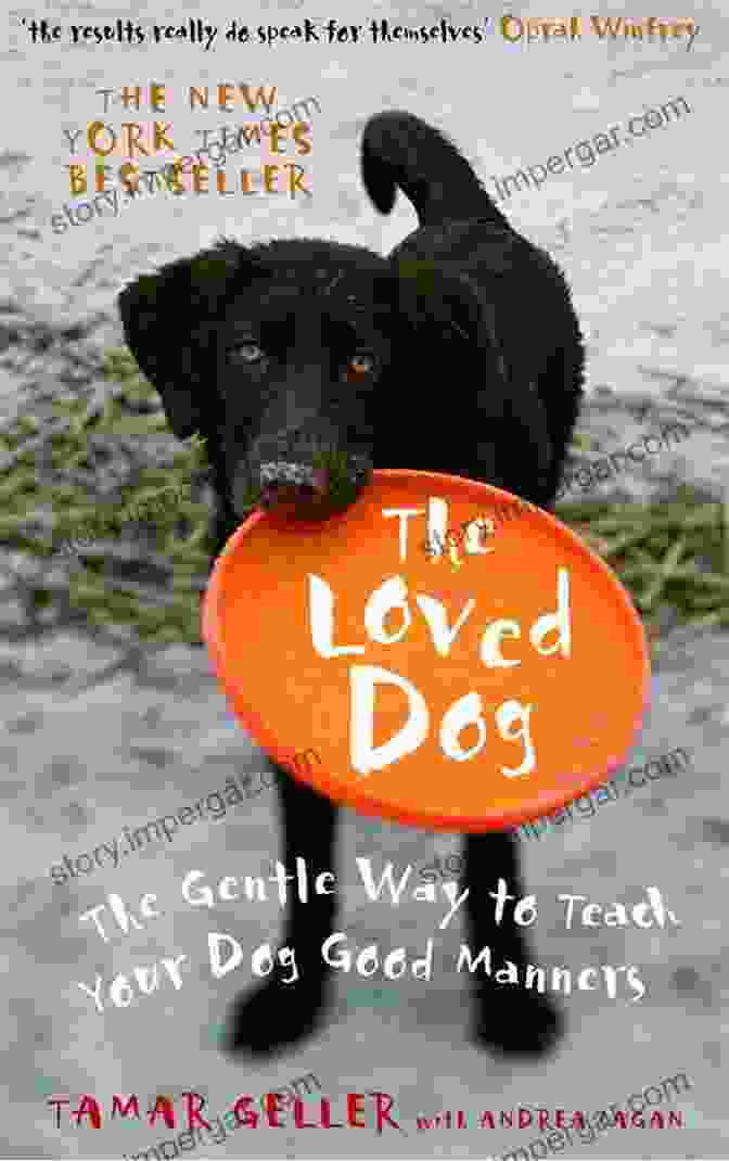 The Loved Dog Book Cover By Tamar Geller The Loved Dog Tamar Geller