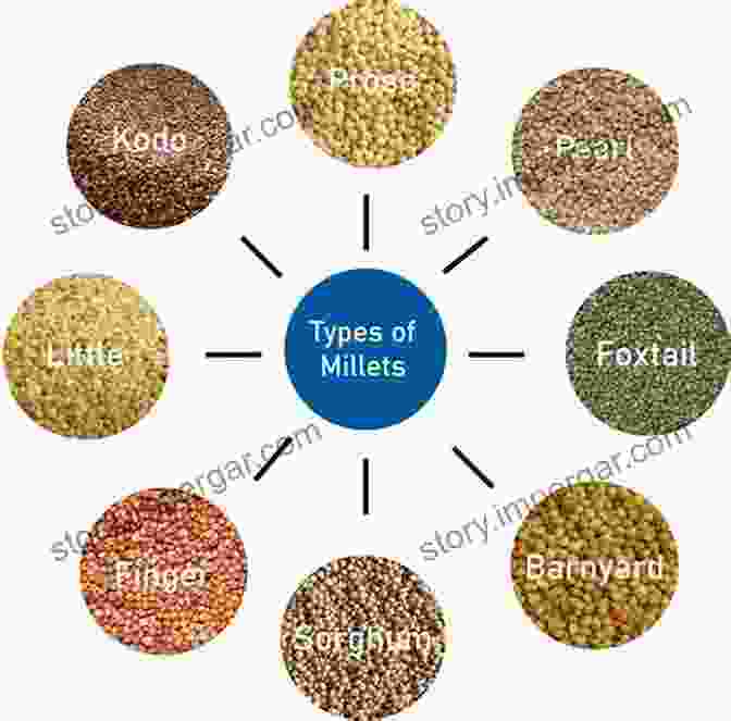 Variety Of Value Added Grain Products Growing Grain Crops In Dry Areas With Information On Varieties Of Grain Crop Suitable For Dry Land Farming