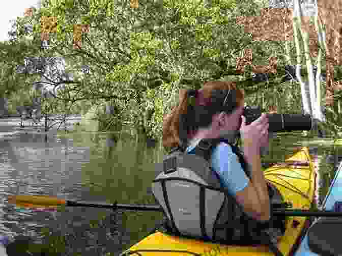 Visitors Enjoying A Kayaking Adventure Along The Silver River, Surrounded By Lush Greenery And The Tranquility Of Nature Silver Springs: The Liquid Heart Of Florida