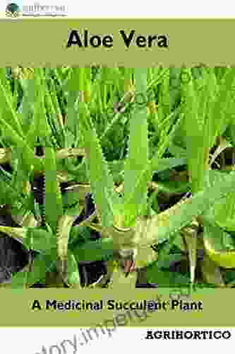 Aloe Vera: A Medicinal Succulent Plant