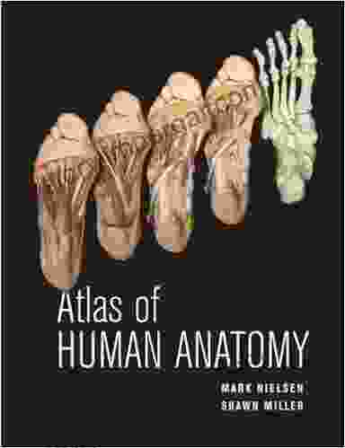 Atlas Of Human Anatomy Mark Nielsen