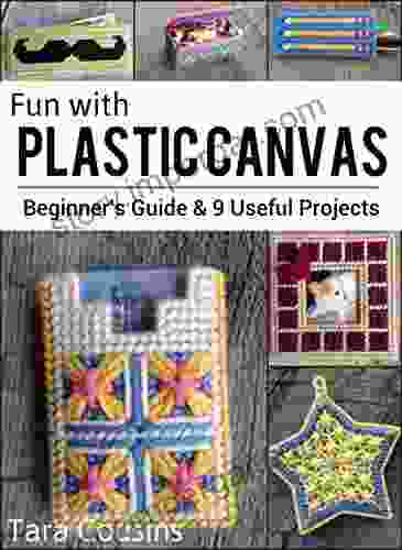 Fun With Plastic Canvas: Beginner S Guide 9 Useful Projects (Tiger Road Crafts)