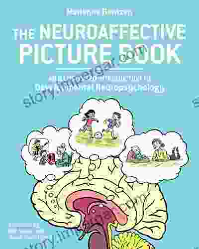 The Neuroaffective Picture Book: An Illustrated Introduction To Developmental Neuropsychology