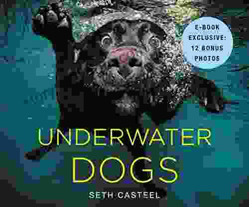 Underwater Dogs Seth Casteel