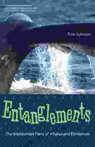 Entanglements: The Intertwined Fates Of Whales And Fishermen