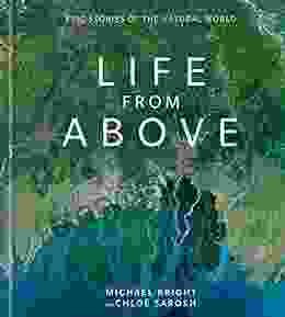 Life From Above: Epic Stories Of The Natural World