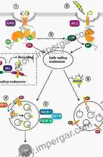 Metal And Nutrient Transporters In Abiotic Stress: Sensing Signaling And Trafficking