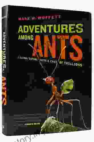 Adventures among Ants: A Global Safari with a Cast of Trillions