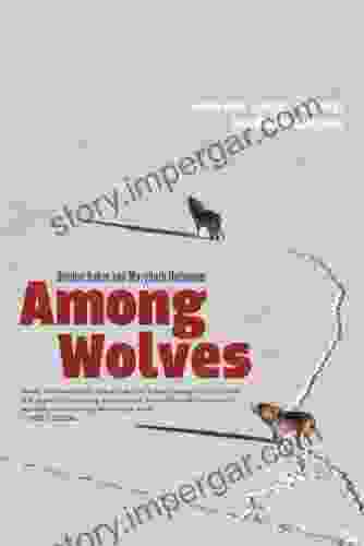 Among Wolves: Gordon Haber S Insights Into Alaska S Most Misunderstood Animal