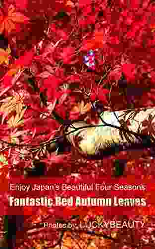 Fantastic Red Autumn Leaves: Enjoy Japan S Beautiful Four Seasons