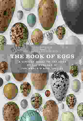 The Of Eggs: A Lifesize Guide To The Eggs Of Six Hundred Of The World S Bird Species (Book Of Series)