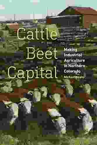 Cattle Beet Capital: Making Industrial Agriculture In Northern Colorado