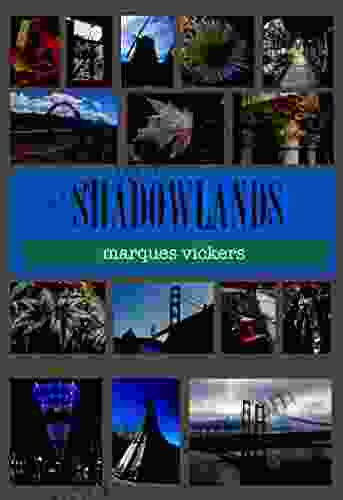 Shadowlands: The Illumination Of Silhouette Photography