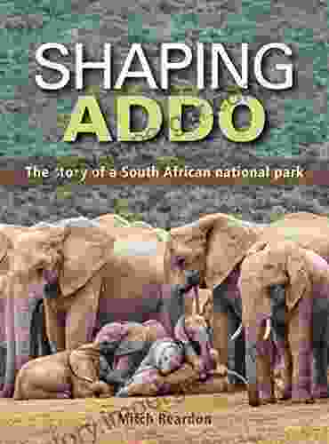 Shaping Addo Mitch Reardon