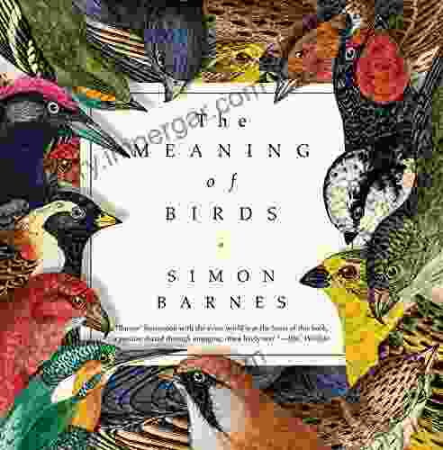 The Meaning Of Birds Simon Barnes