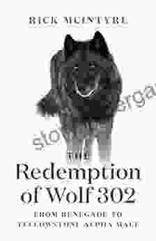 The Redemption Of Wolf 302: From Renegade To Yellowstone Alpha Male (The Alpha Wolves Of Yellowstone 3)