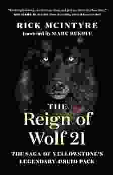 The Reign Of Wolf 21: The Saga Of Yellowstone S Legendary Druid Pack (The Alpha Wolves Of Yellowstone 2)