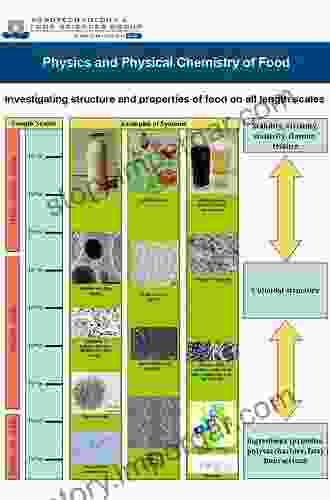 Physical Chemistry Of Foods (Food Science And Technology)