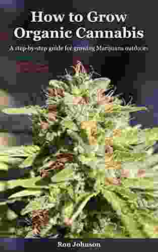 How to Grow Organic Cannabis: A step by step guide for growing Marijuana outdoors