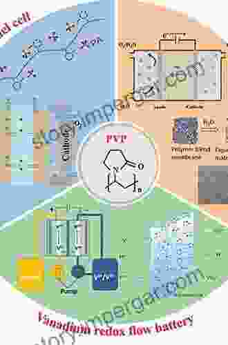 Electrochemical Polymer Electrolyte Membranes (Electrochemical Energy Storage And Conversion 7)