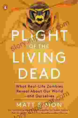 Plight of the Living Dead: What Real Life Zombies Reveal About Our World and Ourselves