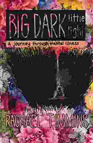 Big Dark Little Light : A Journey Through Mental Illness