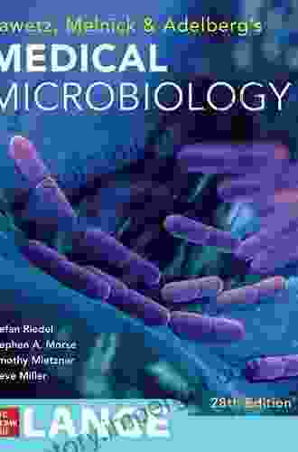 Jawetz Melnick Adelbergs Medical Microbiology 28 E